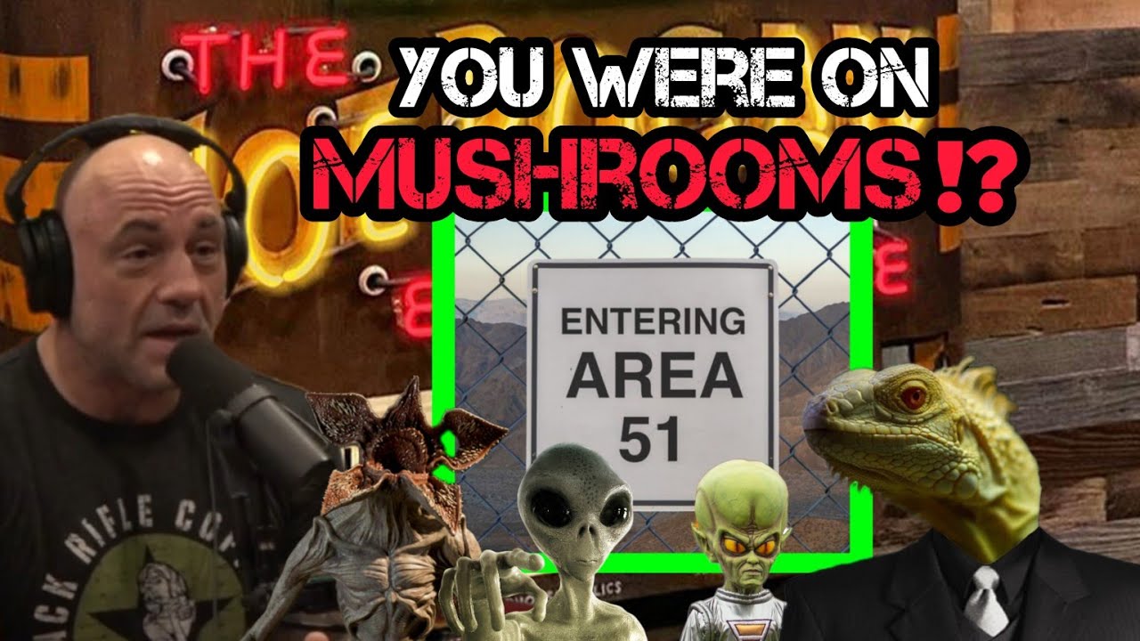 Joe Rogan SHOCKED by Guest Who RUSHED Area 51 on Mushrooms YouTube