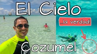 El Cielo Cozumel ⭐ Precio del Tour 💵 ¿Dónde comprarlo más barato? ✅ ¿Vale la pena? ...la verdad! 😱 by oscar de guru 274,223 views 3 years ago 11 minutes, 55 seconds