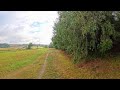 "8K 360° Nature Walk | Mist and Silence After Rain"