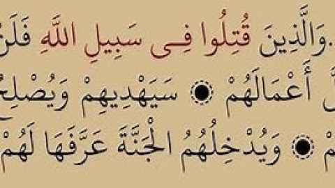 محمد البراجة شرح الشاطبية 65من سورة سيدنا محمد صلى الله عليه وسلم  إلى سورة القمر