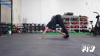 Downdog sequence