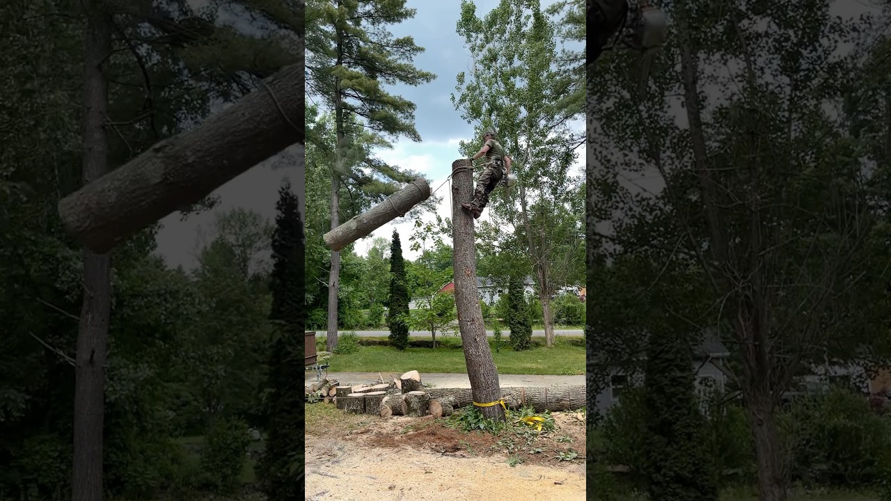 You got me! Climber gets a free ride and a shake.