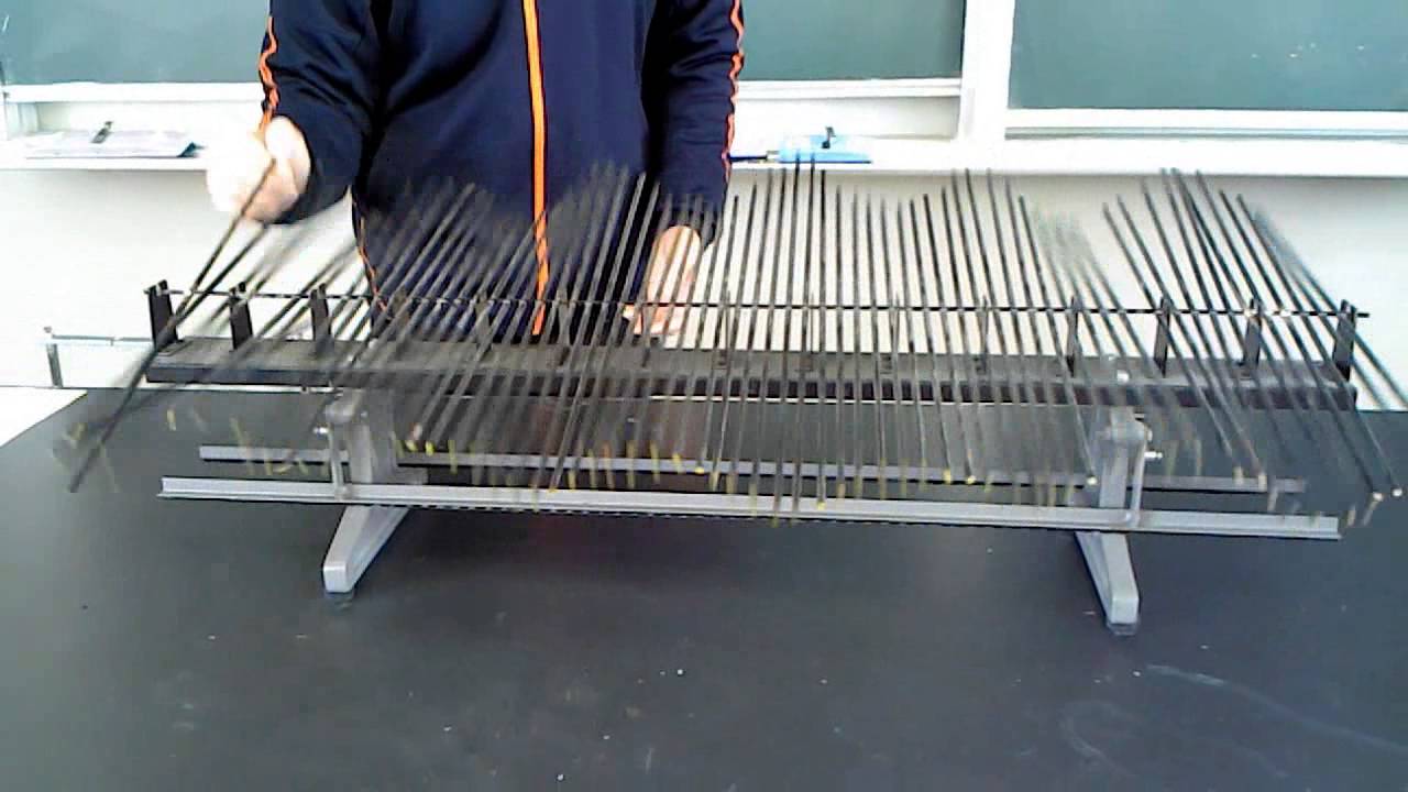 ウェーブマシンで定常波を作る(高校物理実験動画：波動)