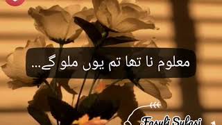 Mukhtasar Hayat Kar De Song | Laaj Drama OST | Lyrics Video | Whatsapp Status