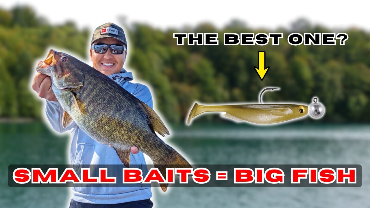 Small SWIMBAITS for BIG Smallmouth | The EASIEST Way To Catch Smallmouth