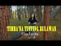 Elsa lucita  timbana tinting bulawan  official music