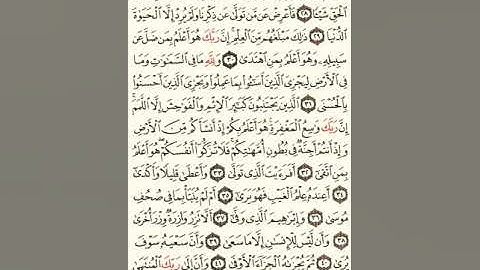 ماهر المعيقلي سورة النجم مكتوبة من الآية 1 صفحة 526 إلي الآية 62 صفحة 528