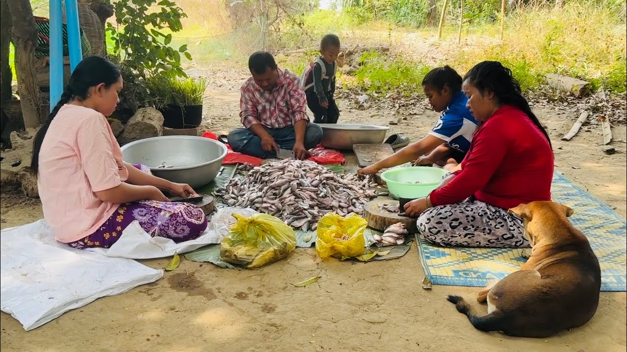 We are filleting the fish to make more prahok