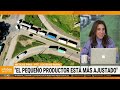 Nicolás Pino en Infobae: “El CAMPO es el sector MÁS COMPETITIVO de la ARGENTINA”
