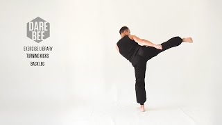 Exercise Library: Turning Kicks / Back Leg
