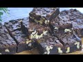 NO OVEN! NO BAKE! FUDGE BROWNIES! PANALO SA SARAP TO!