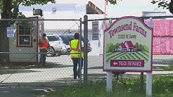 New COVID-19 outbreak reported at Townsend Farms