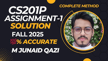 CS201P Assignment 1 Solution Fall 2025 | 100% Correct | Virtual University | by M Junaid Qazi