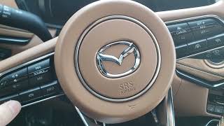 Mazda CX90 Build Quality Test