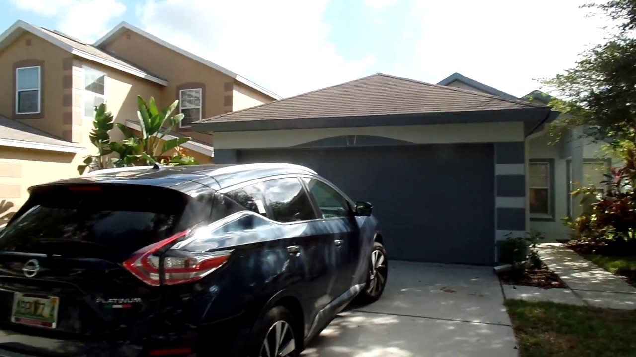 Fishhawk Home from Bob Abruzzese