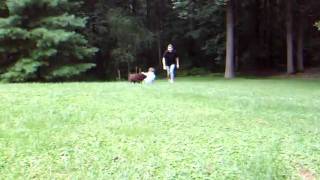 DSCF4824.AVI