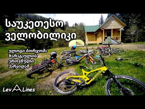 საუკეთესო სამთო ველობილიკი - ბორჯომ ხარაგაულის ეროვნული პარკი.