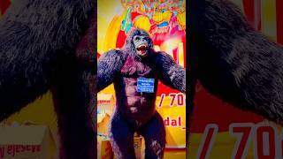 Gorilla Opening🤩🔱#newadd #shorts #trending g