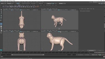 Rigging   pt5   Maya 2019   Rigging a Quadruped   Binding a Cat Skeleton with IK handles