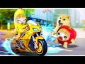 Never drive recklessly like banana cat  happy cat funny 63