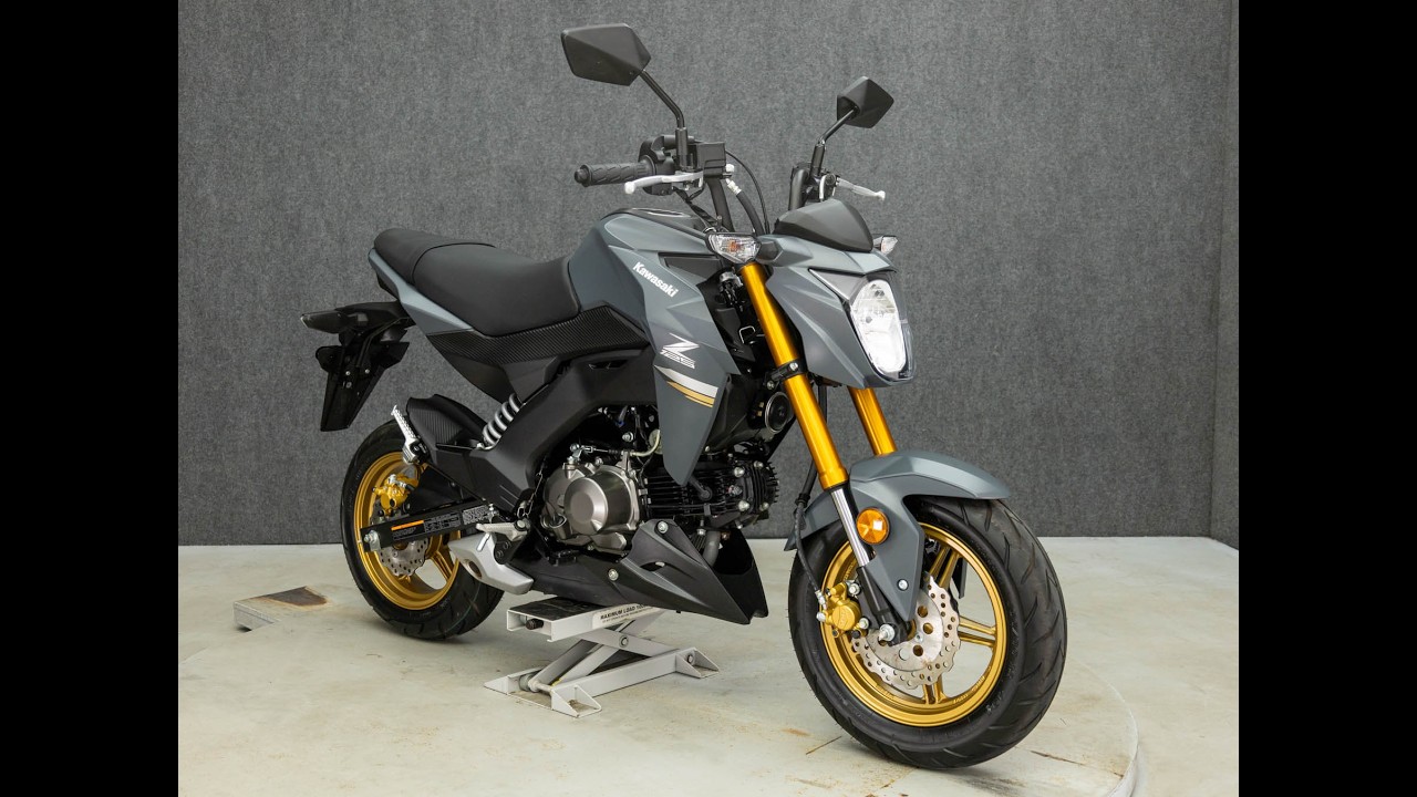 2024 KAWASAKI BR125 Z125 PRO - National Powersports Distributors 