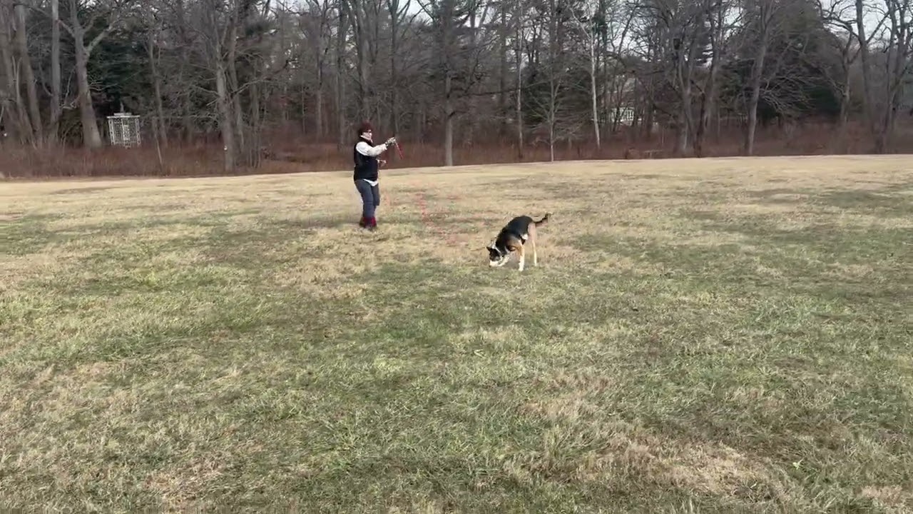 01/02/26 Keeper 120 yd WTW