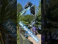 Galactica - Alton Towers #shorts #shortvideo #rollercoaster