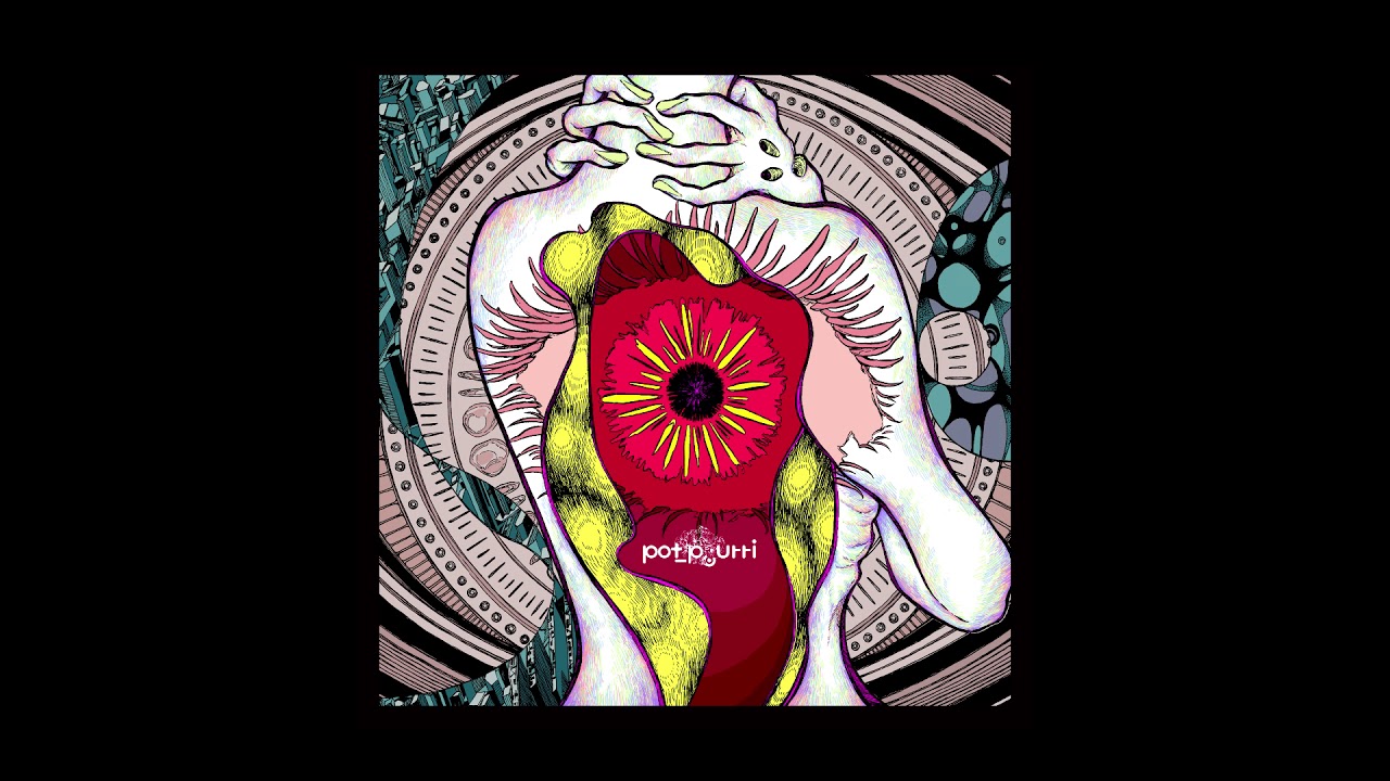 ホビー・楽器・アート RYO TS-808 TUBE SCREAMER | 【クロサワ楽器店オンラインショップ