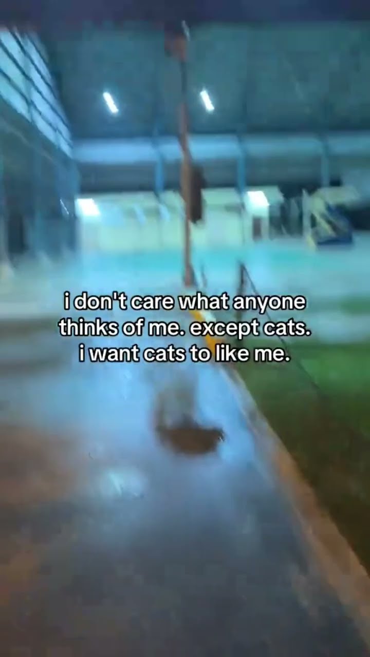 Prvnci admitting as long as animals like me I don’t care