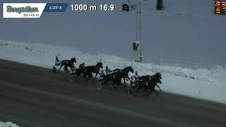 Vidéo de la course PMU PRIX P21