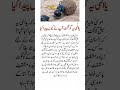 Yeh Keera Allah Ne Kyun Paida Kiya? | Powerful Islamic Motivation | Life Lesson from Nature