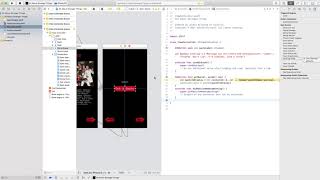 Deleting IBOutlets and IBActions