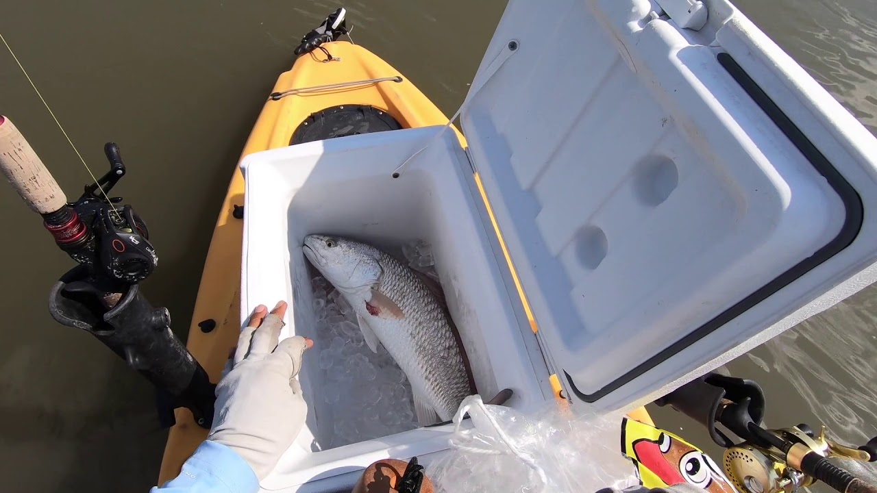 (S2 Ep5) Quick limit of reds for lunch, kayak fishing Freeport Texas