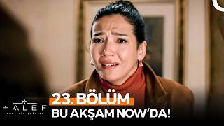 Halef: Köklerin Çağrısı 23. Bu Akşam Nowda