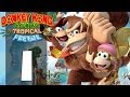 Donkey Kong Country: Tropical Freeze