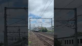 Amtrak ACS-64 #669 flying by Readville Station with a hornshow!! #train #shorts #railway #ytshorts