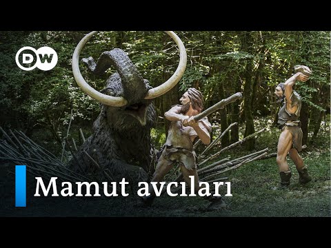 15 bin yıl önceki mamut avcılarının tuzakları bulundu - DW Türkçe