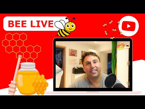 YouTube - Videotalk mit Bee Live