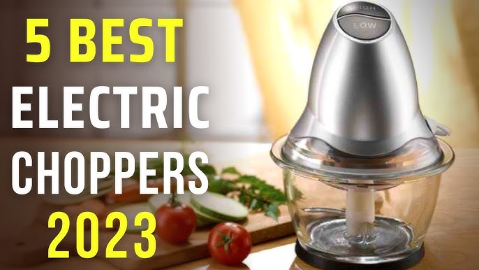 Electric Vegetable Chopper Review - Mishry (2023)