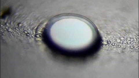 WGM microresonator Erbium Laser