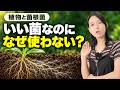 菌を増やすだけではダメ?畑で菌根菌を活かす条件