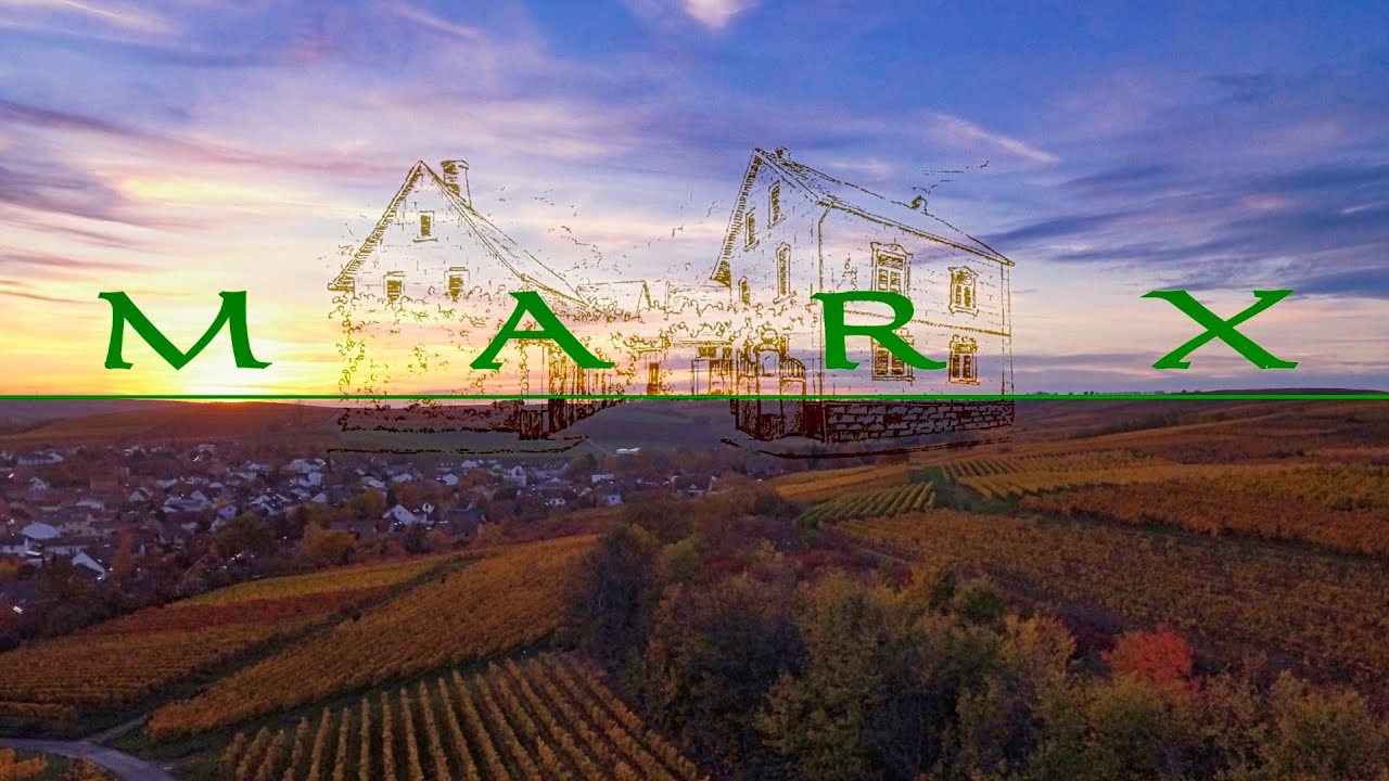 Imagefilm Weingut Marx 2020