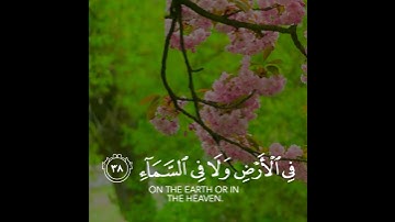 اروع تلاوة القران الكريم ب صوت القارئ احمد النفيس آجمل حالات واتس اب قرآنيه