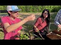 Planting Sweet Potatoes