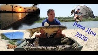 Рыбалка на реке Дон июль 2020