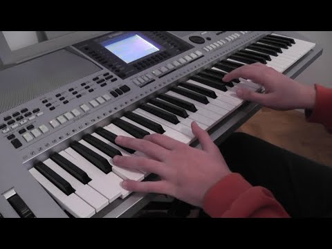 Ludovico Einaudi - A Fuoco (by Bojan Stipic)