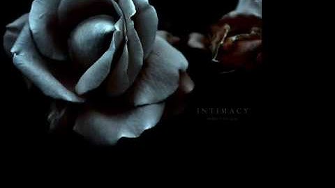 tu jaan se pyara ho gaya