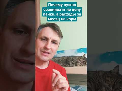 Переход на качественный корм кошки не увеличивает ваши расходы