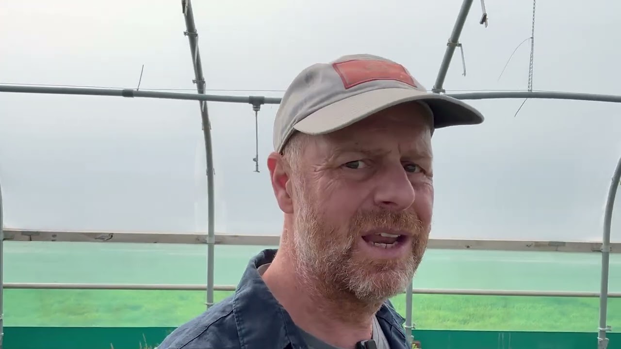 Joe’s Country Garden посещает питомники полевых и специальных растений