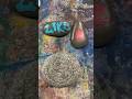 Painting Koffing. #art #pokemondrawing #rocks #pokemon #painting #koffing